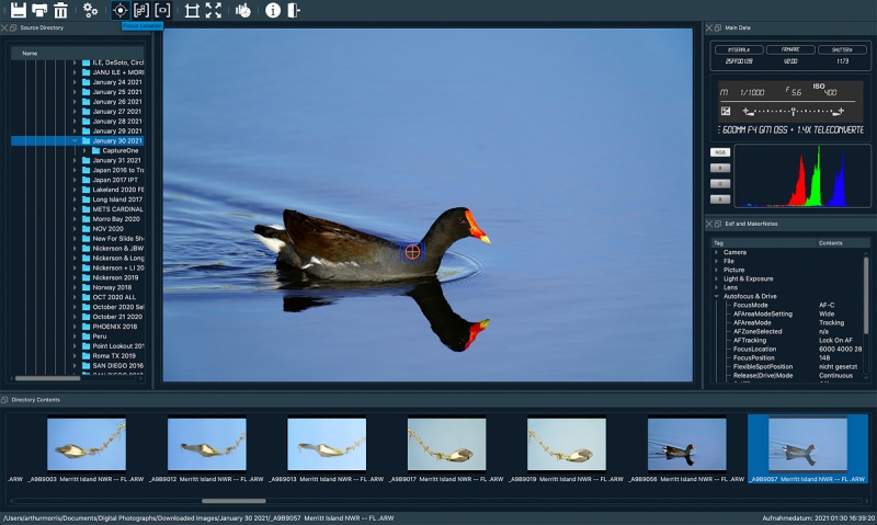 1_SONY-AF-PT-COM-MOORHEN-1