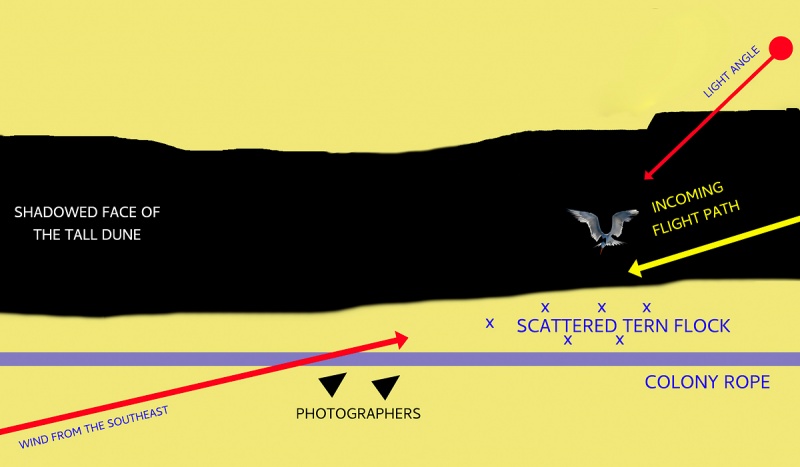 Backlit-dune-diagram