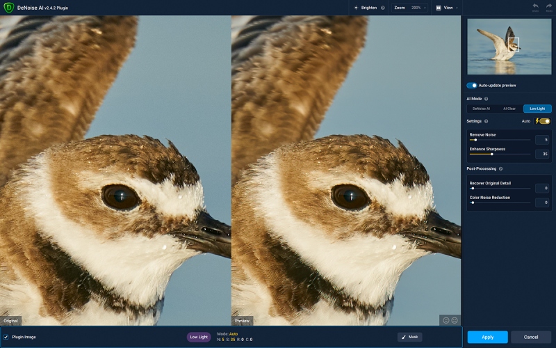 DeNoise-Low-Light-WILS-PLOVER-1