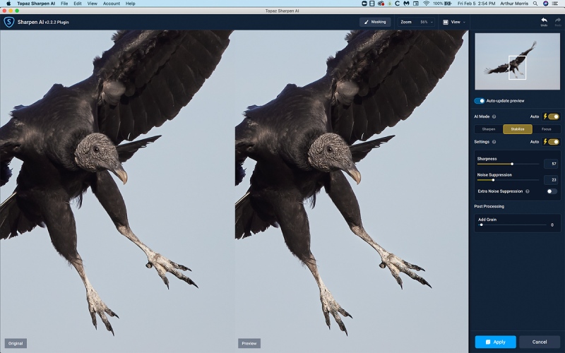 Sharpen-AI-on-vulture-1