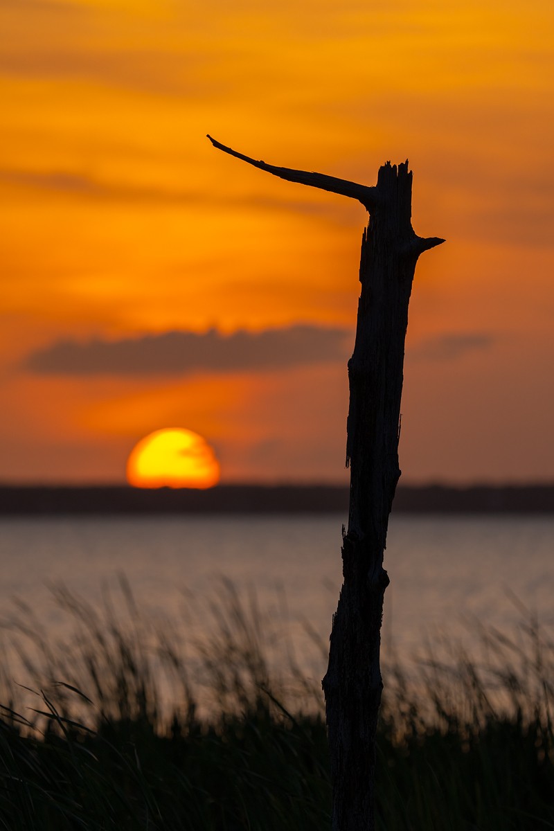 The-Perch-II-_A1B8585-Indian-Lake-Estates-FL-