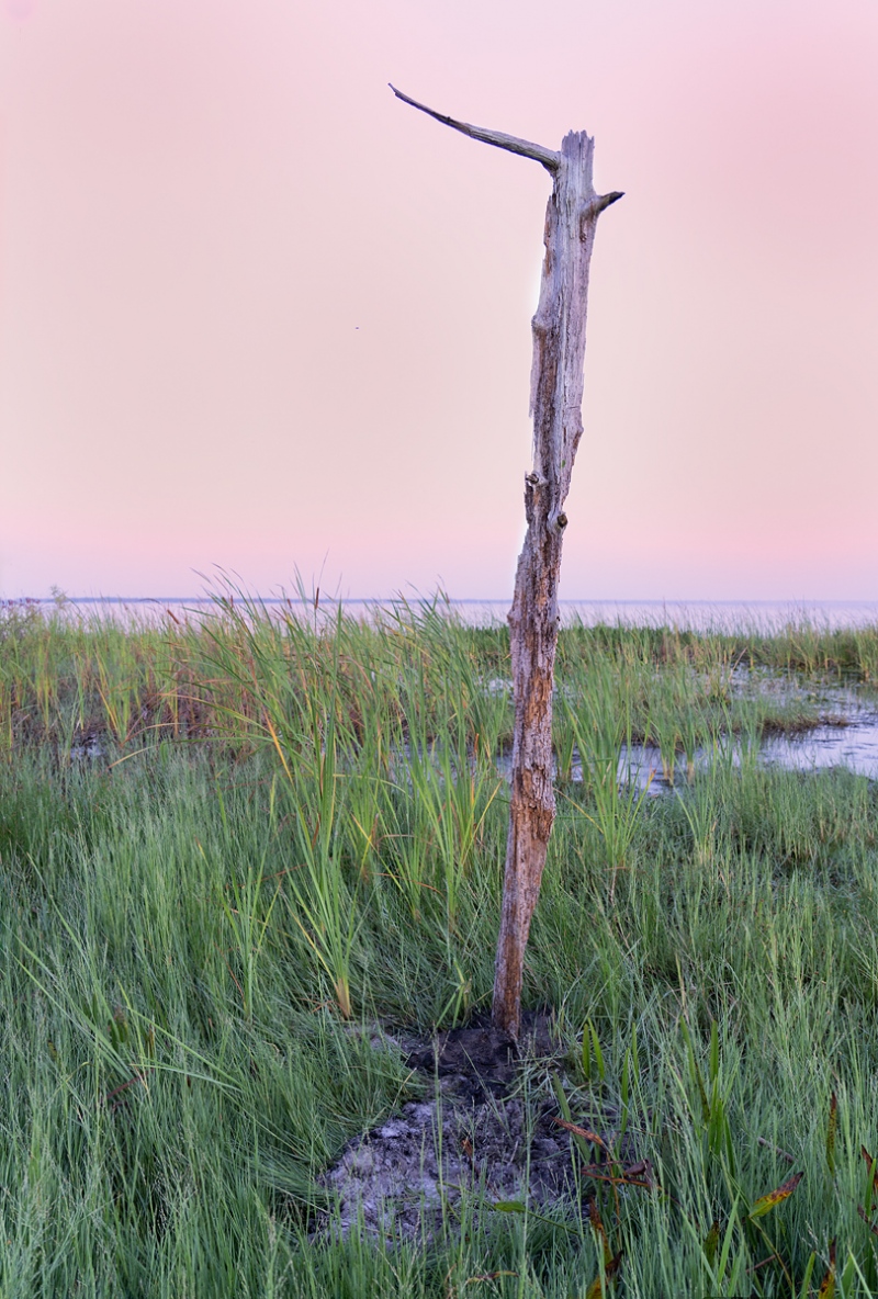 The-Perch-II-_A1B8595-Indian-Lake-Estates-FL-