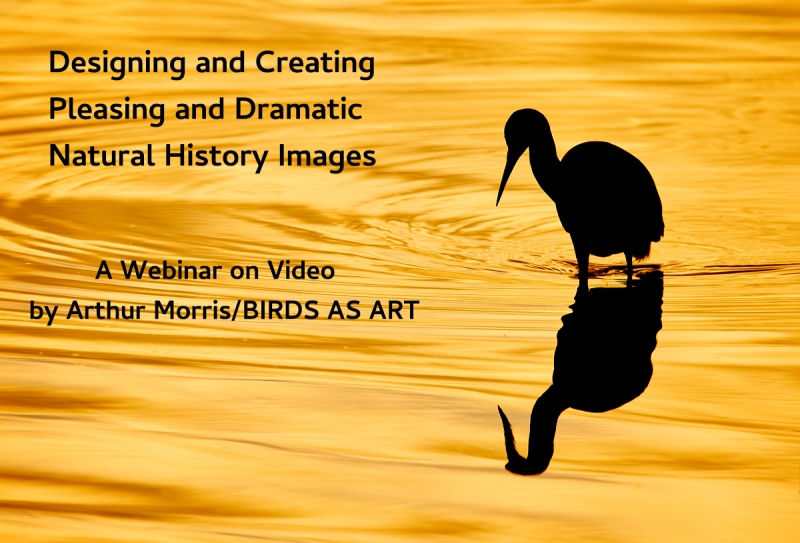 Webinar-on-Video-1