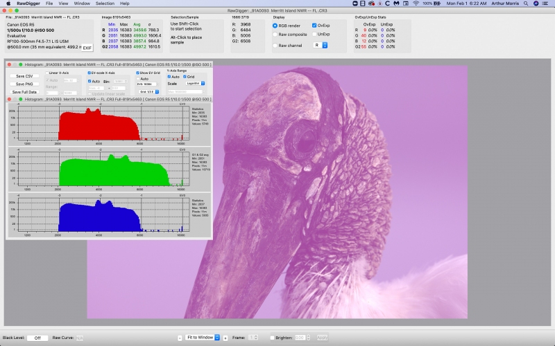 wood-stork-RawDig-histogram-1