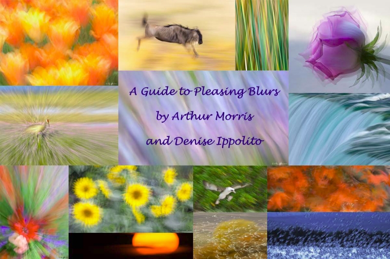 a-guide-to-pleasing-blurs
