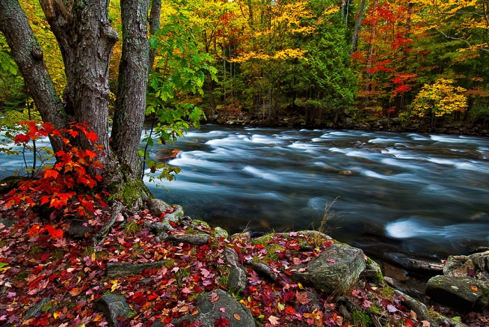 autumn-colour-on-kennisis-river-4795