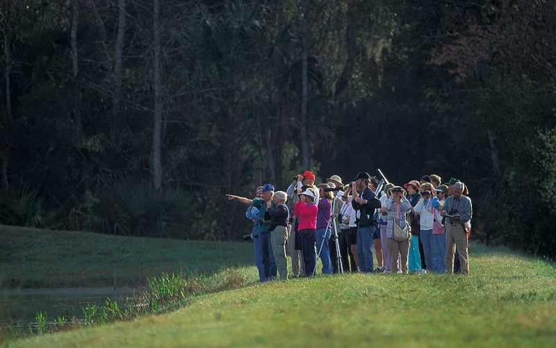 birding-group-lake-woodruff-nwr