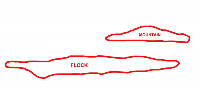 dunlin-composition-diagram