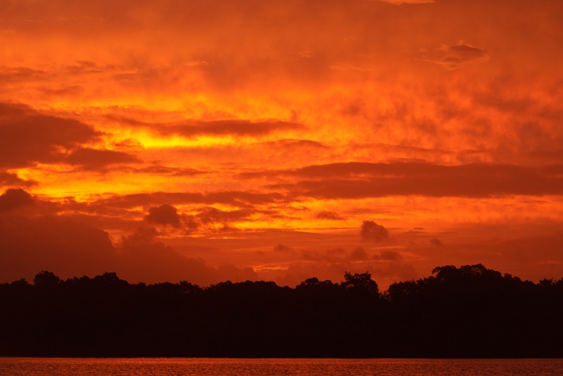 eastern-sky-at-sunrise-_w3c7837-caroni-swamp-trinidad