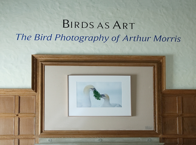 exhibition-title-_a1c1783-museum-of-american-bird-art-at-mass-audubon-canton-ma