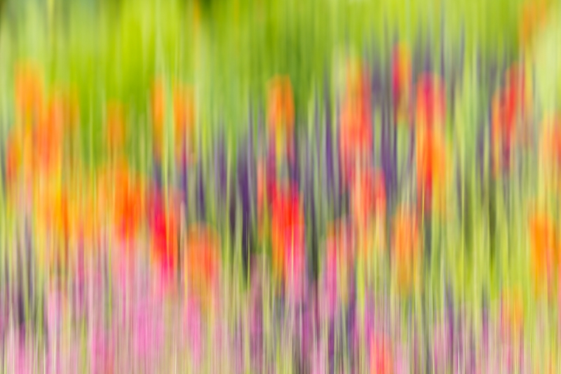 flower-bed-blur-_y9c0670-chanticleer-gardens-wayne-pa_0