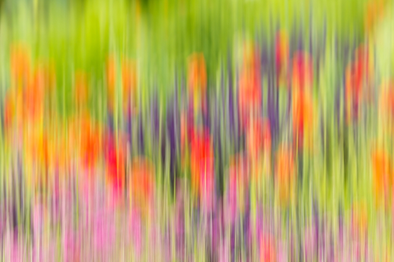 flower-bed-blur-_y9c0670-chanticleer-gardens-wayne-pa_0