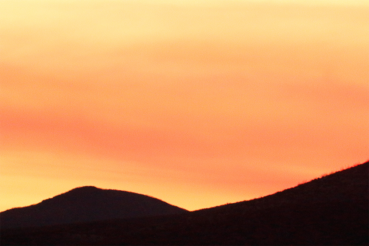 y8a7665-bosque-del-apache-nwr-san-antonio-nmE