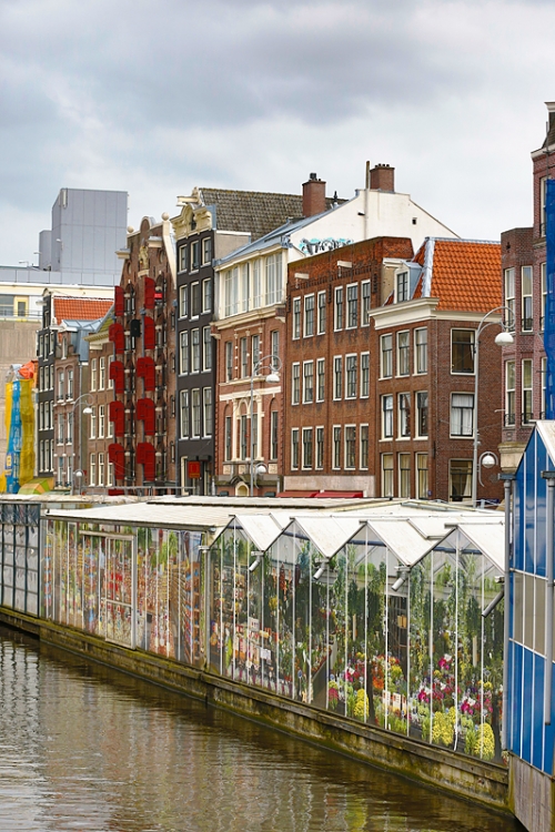 flower-district-along-canal-_a1c1160-amsterdam-holland