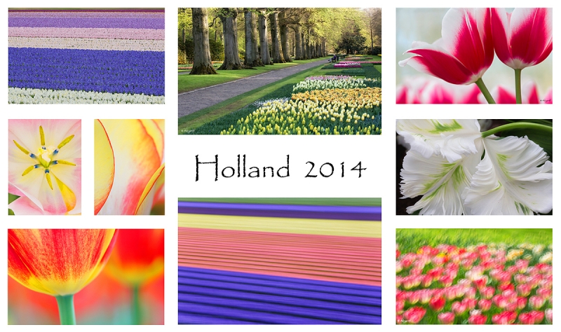 holland-2014-1200