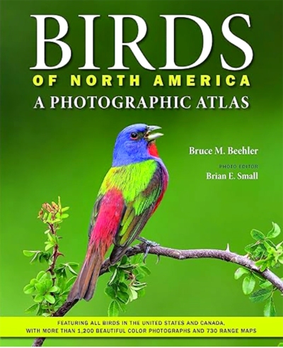 BSMALL-BOOK-COVER