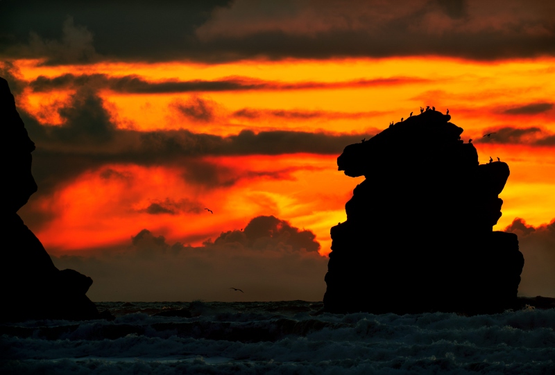 Bird-sh-t-Rock3200-at-sunset_A1G9982-Morro-Bay-CA-Enhanced-NR