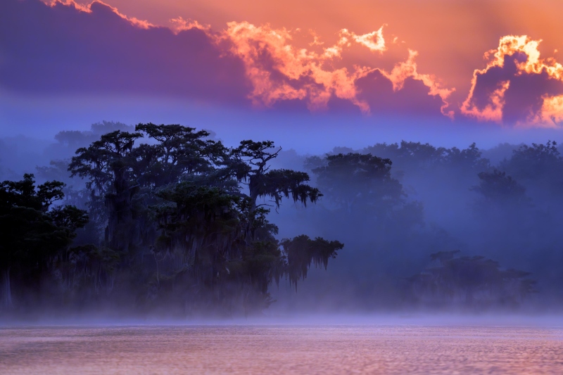 Cyrpess-Trees-3200-in-fog-at-sunrise-_A934945-Lake-Blue-Cyrpess-FL-Enhanced-NR