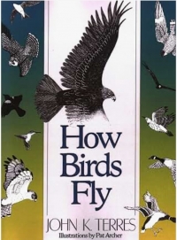 How-Birds-Fly