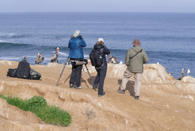 Bird-photographers-3200-and-birds-_A1B9323-La-Jolla-CA