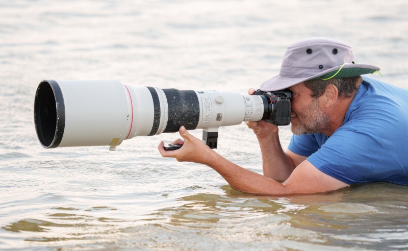 Chris-Vickerson-3200-with-Canon-600mm-f-4-R5-_A1G2474-Fort-DeSoto-Park-FL-Enhanced-NR