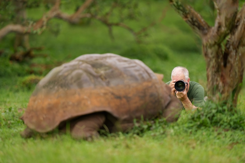 Ed-Dow-3200-and-Galapgos-Tortoise-_A1G9809-The-Highlands-Puerto-Ayora-Galapagos-Ecuador