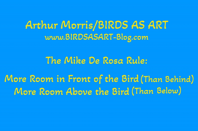 mike-de-rosa-rule