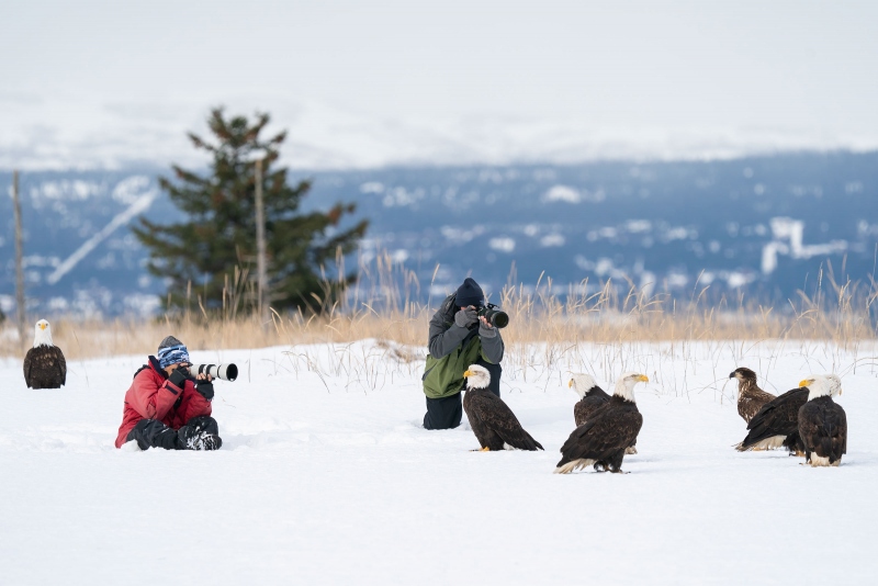 photographers-3200-and-eagles-_A9B7030-Kachemak-Bay-AK