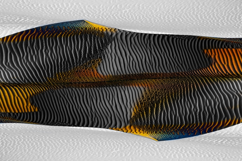 EAnon_Dunes_China-7405v4-AM