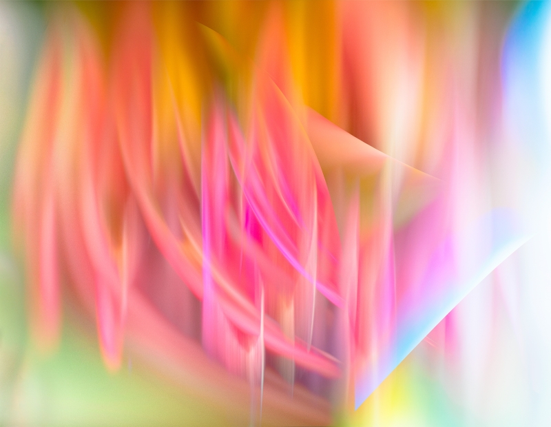 EAnon_Summer25-_A118361v5-copy