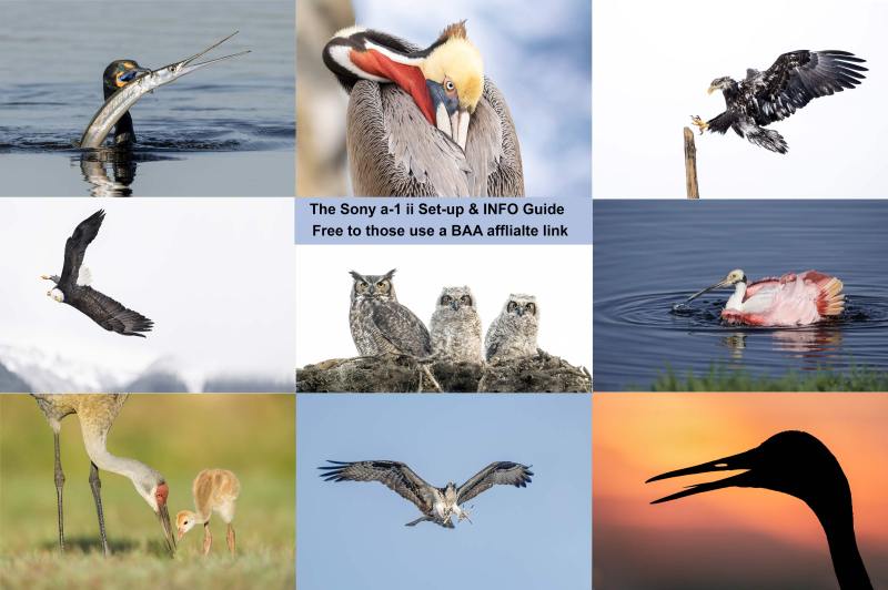 a-1-ii-Guide-card-new