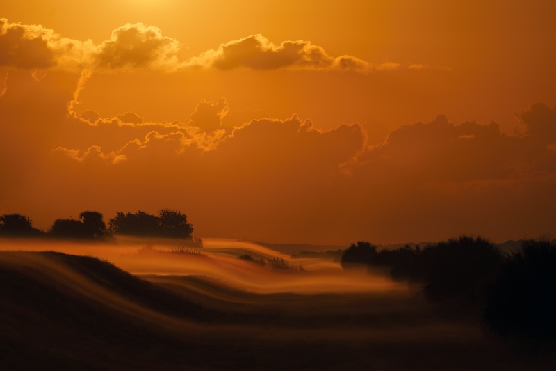 river-of-fog-3200-on-canal-BOB-EAST-_DSC5392-Indian-Stick-Marah-Florida