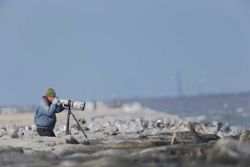 09u0288-barnegat-jetty-nj