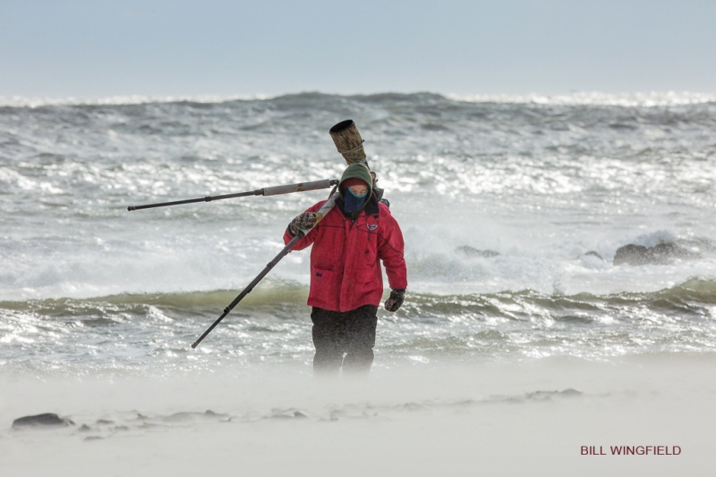 bill-wing-artie-in-surf