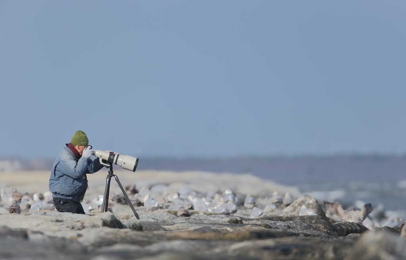 billy-wingfield-on-the-jetty-w800mm-f-5