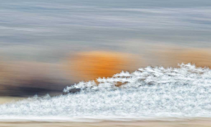 snow-geese-1-2-second-blast-off-_y9c8498-bosque-del-apache-nwr-san-antonio-nm