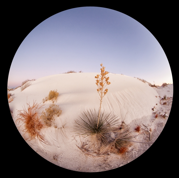 yucca-circle-fish-eye-pre-dawn-1400-sq-_mg_0078-white-sands-national-monument-nm