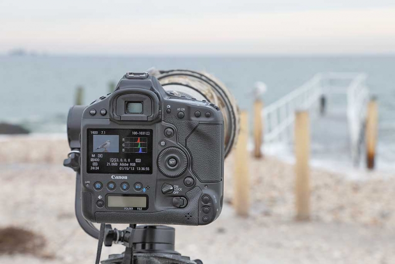 back-of-camera-at-pier-_q8r0189-jamesport-new-york