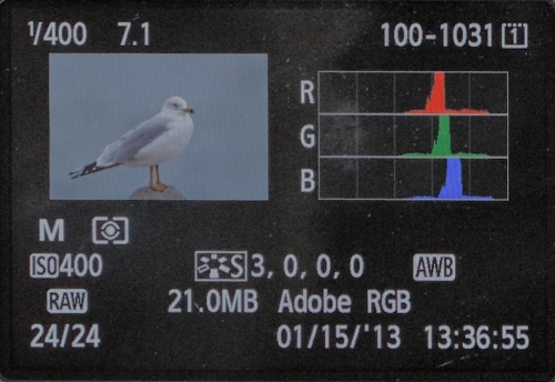 hisogram-back-of-camera-at-pier-_q8r0189-jamesport-new-york