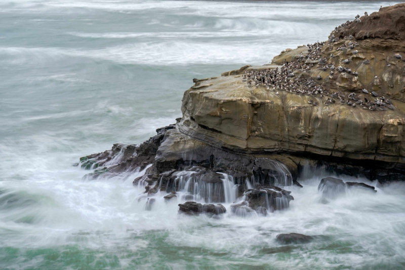 Pelican-cliffs-3200-on-stormy-day-_A1G2233-La-Jolla-CA