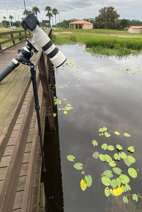 tripod-on-railing-IMG_1910