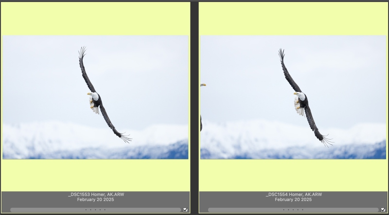 eagle-collision-prior-frames