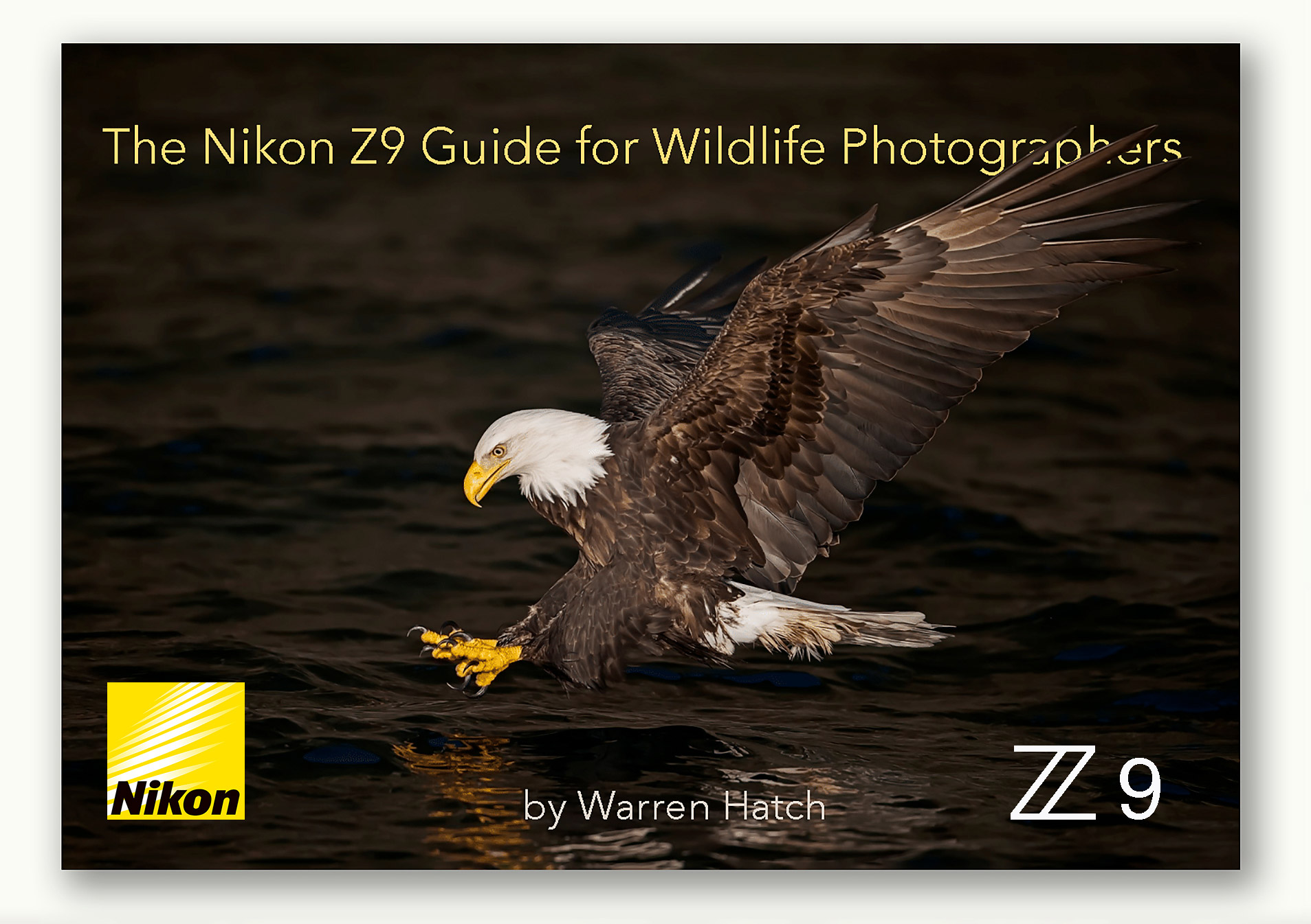 Is the Nikon Z9 too expensive? 7 cheaper alternatives for wildlife  photography (Review) — APC Wildlife Photography