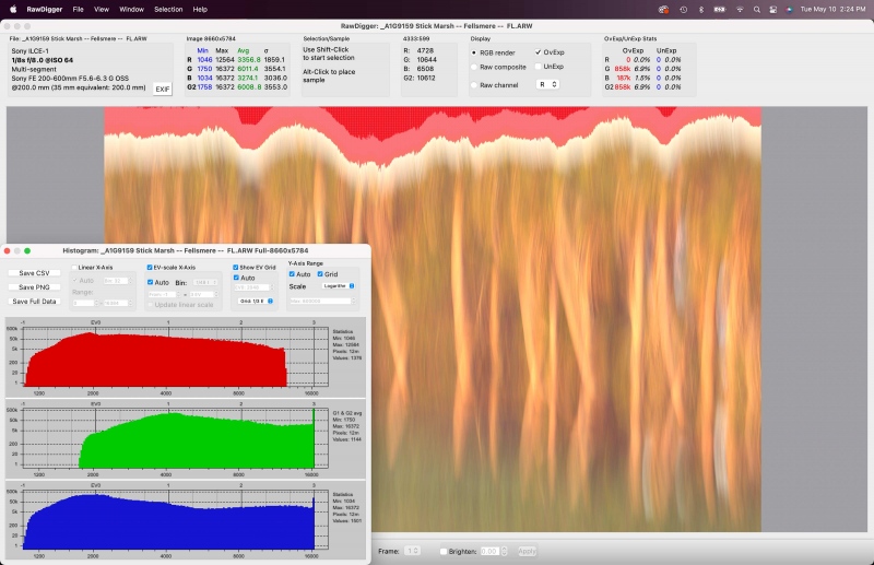 1_Cabbage-Palm-3200-blur-RAWDIG