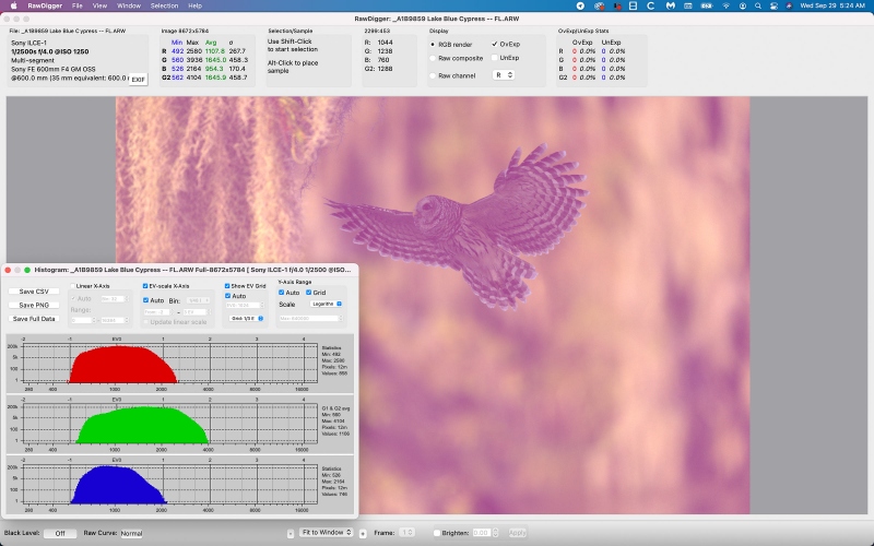 Barred-Owl-RawDig-1