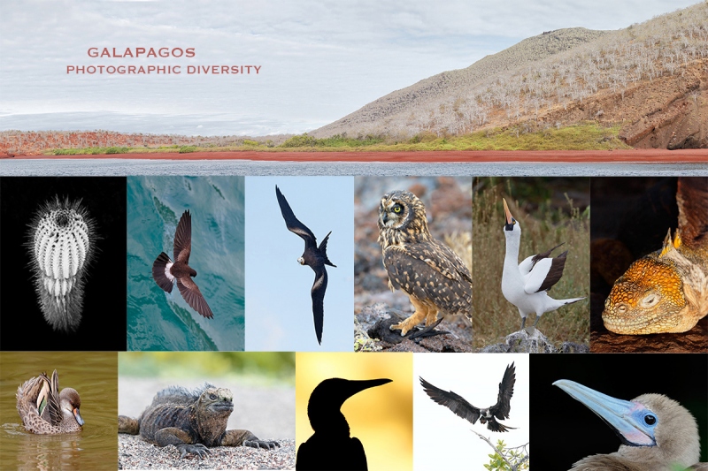 GalapagpsDiversityA2015BPN