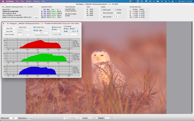 RawDigger-screen-capture-SN-OWL-1