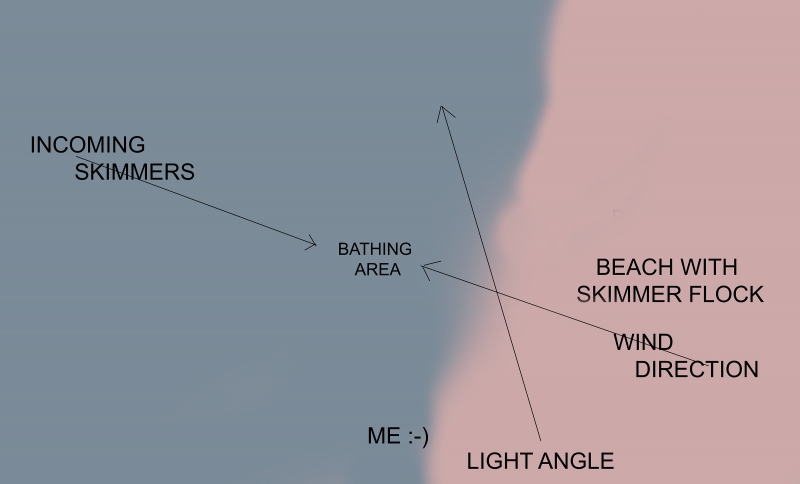 Skimmer-DIAGRAM-3200-