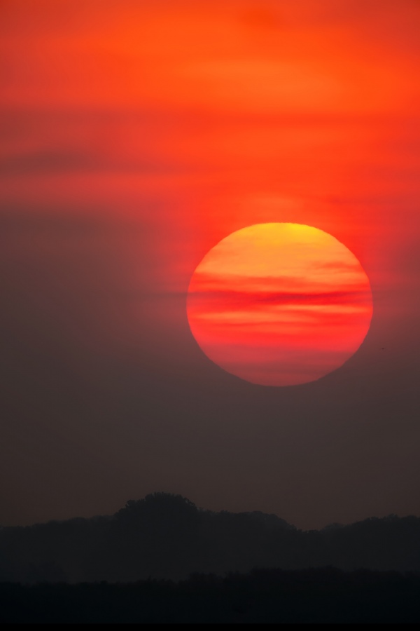 Sunrise-3200-_A1G6895-Coleman-Landing-at-Shady-Oaks-FL