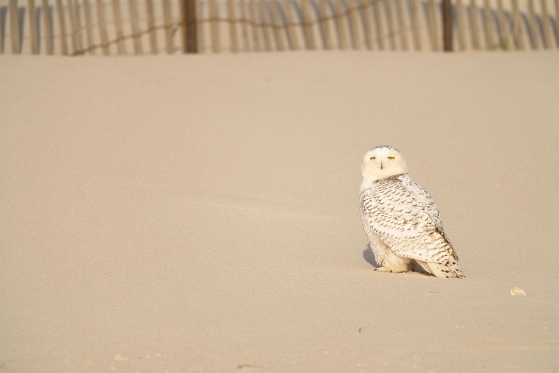 The-Original-3200-_A1B1230-Westhampton-Beach-LI-NY